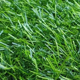  Sztuczna trawa Miami Verde