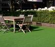 Sztuczna trawa Wimbledon (4)